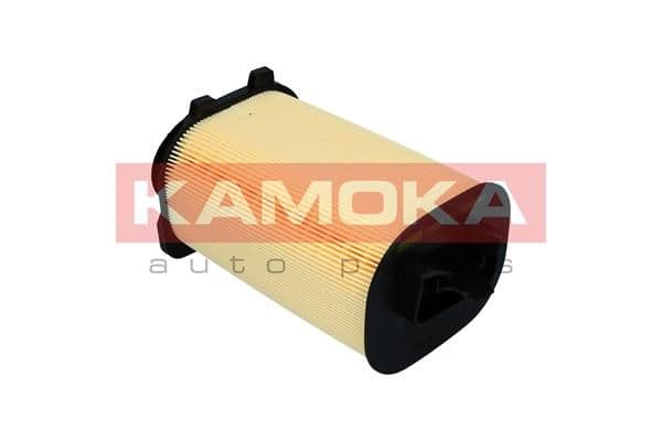 Gaisa filtrs KAMOKA F242501 1