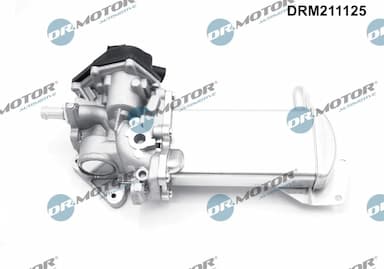 Izpl. gāzu recirkulācijas vārsts Dr.Motor Automotive DRM211125 2