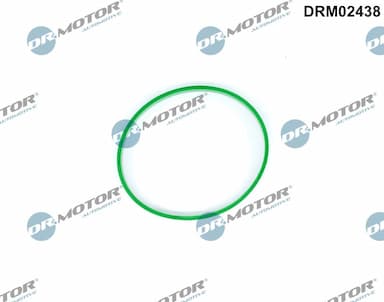 Blīve, Droseļvārsta īscaurule Dr.Motor Automotive DRM02438 1