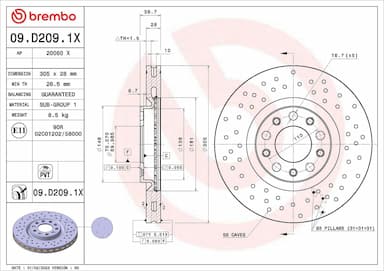 Bremžu diski BREMBO 09.D209.1X 1