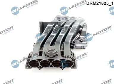 Ieplūdes caurules modulis Dr.Motor Automotive DRM21825 2