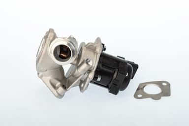 Izpl. gāzu recirkulācijas vārsts BorgWarner (Wahler) 711020D/1 1