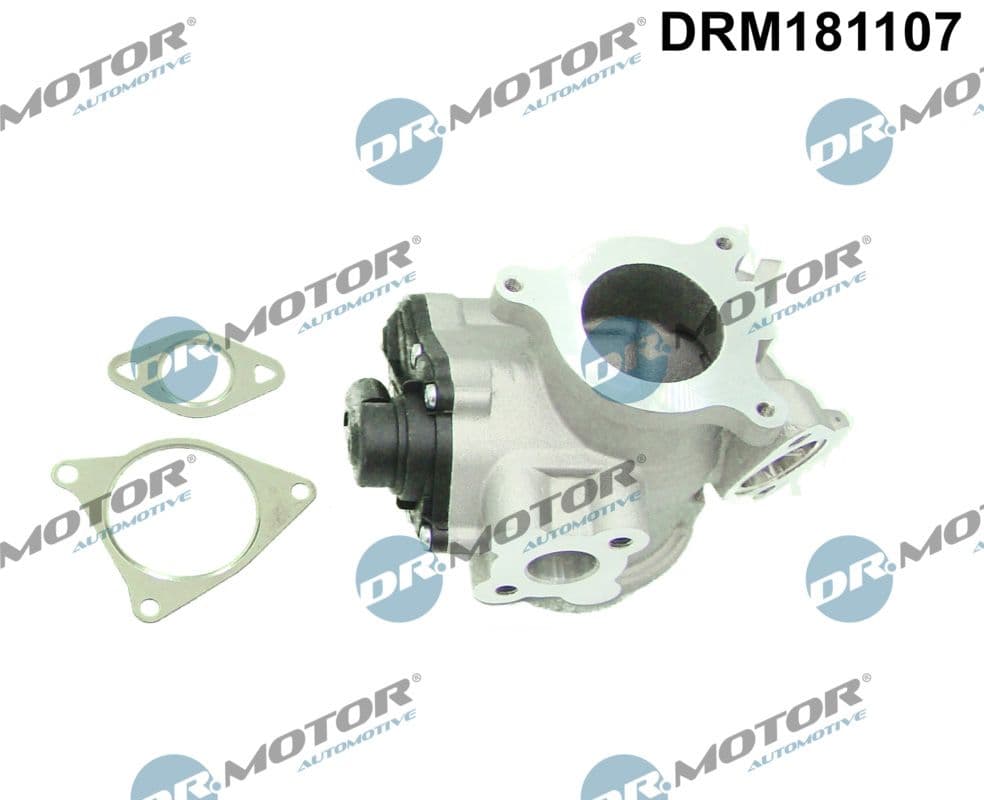 Izpl. gāzu recirkulācijas vārsts Dr.Motor Automotive DRM181107 1