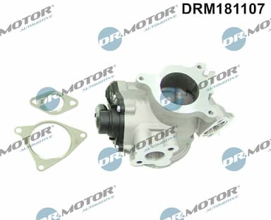 Izpl. gāzu recirkulācijas vārsts Dr.Motor Automotive DRM181107 1