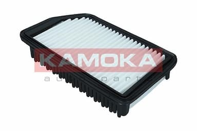 Gaisa filtrs KAMOKA F246901 3