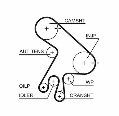 Ūdenssūknis + Zobsiksnas komplekts GATES KP25562XS-2 2