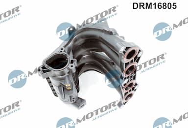 Ieplūdes caurules modulis Dr.Motor Automotive DRM16805 3