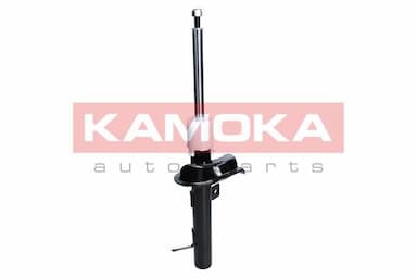 Amortizators KAMOKA 2000134 4