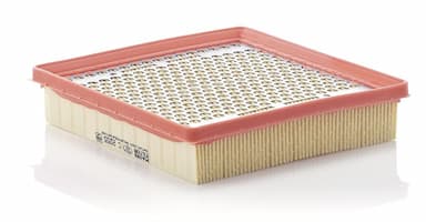 Gaisa filtrs MANN-FILTER C 2055 1