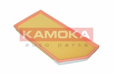 Gaisa filtrs KAMOKA F243801 3