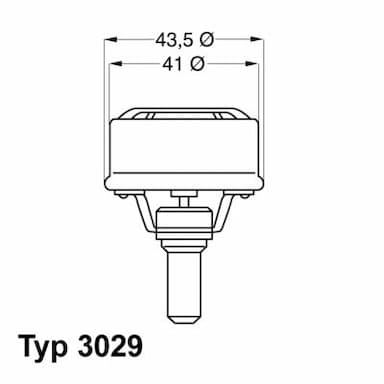 Termostats, Dzesēšanas šķidrums BorgWarner (Wahler) 3029.89 1