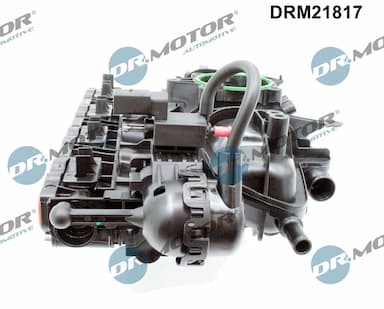 Ieplūdes caurules modulis Dr.Motor Automotive DRM21817 2