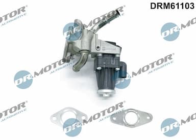 Izpl. gāzu recirkulācijas vārsts Dr.Motor Automotive DRM61103 1