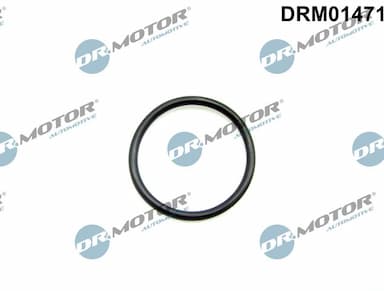 Blīve, EGR vārsta cauruļvads Dr.Motor Automotive DRM01471 1