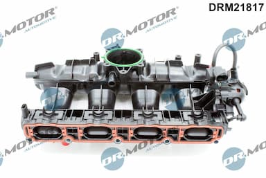 Ieplūdes caurules modulis Dr.Motor Automotive DRM21817 1