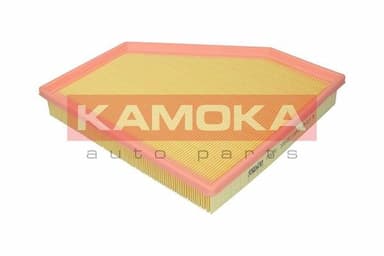 Gaisa filtrs KAMOKA F252601 4