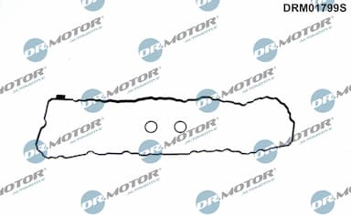 Blīvju komplekts, Eļļas vācele Dr.Motor Automotive DRM01799S 1