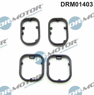 Blīvju komplekts, Eļļas radiators Dr.Motor Automotive DRM01403 1