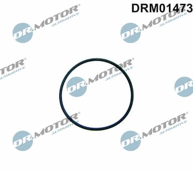 Blīve, Degvielas sūknis Dr.Motor Automotive DRM01473 1