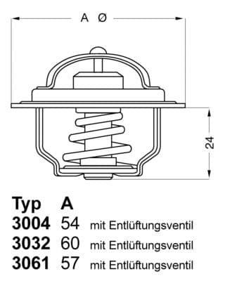 Termostats, Dzesēšanas šķidrums BorgWarner (Wahler) 3032.80 1