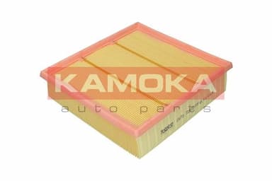 Gaisa filtrs KAMOKA F241701 4