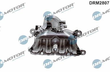 Ieplūdes caurules modulis Dr.Motor Automotive DRM2807 1