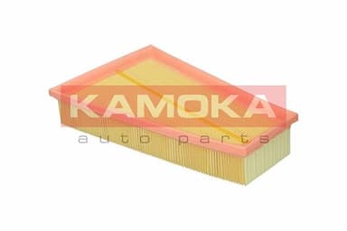 Gaisa filtrs KAMOKA F255901 3