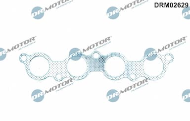 Blīve, Izplūdes kolektors Dr.Motor Automotive DRM02629 1