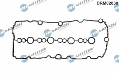 Blīve, Motora bloka galvas vāks Dr.Motor Automotive DRM02830 1