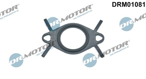 Blīve, EGR vārsta cauruļvads Dr.Motor Automotive DRM01081 1