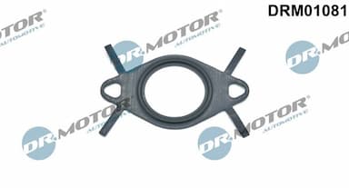 Blīve, EGR vārsta cauruļvads Dr.Motor Automotive DRM01081 1