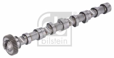 Sadales vārpsta FEBI BILSTEIN 176931 2