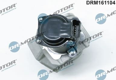 Izpl. gāzu recirkulācijas vārsts Dr.Motor Automotive DRM161104 2