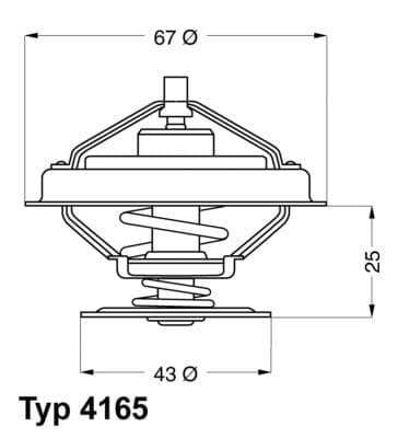 Termostats, Dzesēšanas šķidrums BorgWarner (Wahler) 4165.79D 1