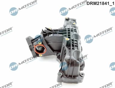 Ieplūdes caurules modulis Dr.Motor Automotive DRM21841 2