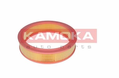 Gaisa filtrs KAMOKA F209301 4