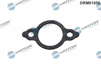 Blīve, EGR vārsta cauruļvads Dr.Motor Automotive DRM01956 1