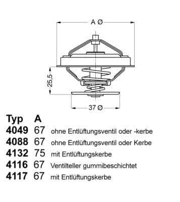 Termostats, Dzesēšanas šķidrums BorgWarner (Wahler) 4116.87D1 1