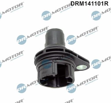 Cauruļvads, EGR vārsts Dr.Motor Automotive DRM141101R 1