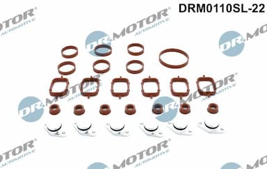 Remonta komplekts, ieplūdes kolektora modulis Dr.Motor Automotive DRM0110SL-22 1