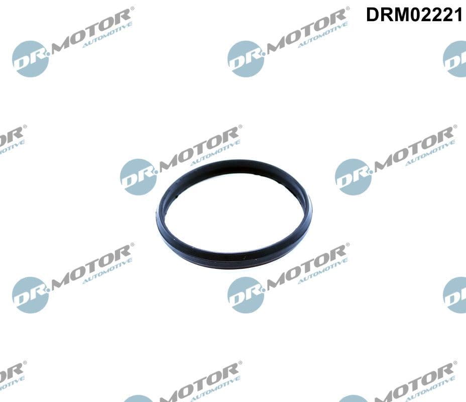 Blīve, Spriegotājmehānisms Dr.Motor Automotive DRM02221 1