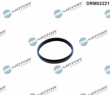 Blīve, Spriegotājmehānisms Dr.Motor Automotive DRM02221 1