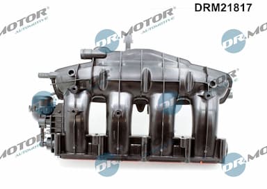 Ieplūdes caurules modulis Dr.Motor Automotive DRM21817 3