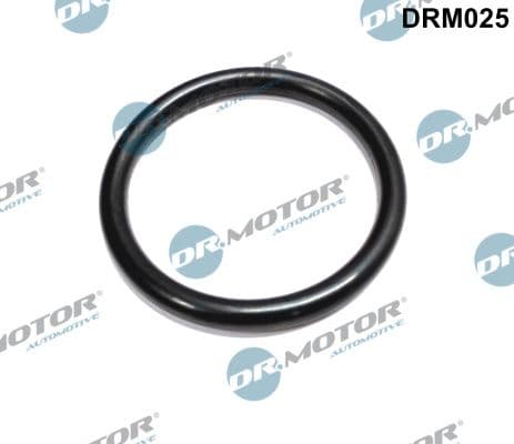 Blīve, Droseļvārsta īscaurule Dr.Motor Automotive DRM025 1