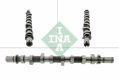 Sadales vārpsta Schaeffler INA 428 0198 10 1