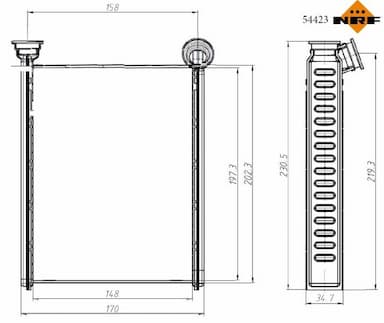 Siltummainis, Salona apsilde NRF 54423 5