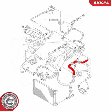 Radiatora cauruļvads ESEN SKV 43SKV616 4