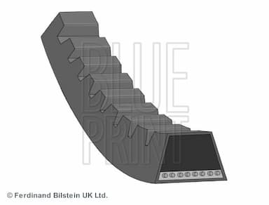 Ķīļsiksna BLUE PRINT AD13V1150 1