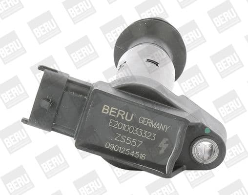 Aizdedzes spole BorgWarner (BERU) ZS557 1