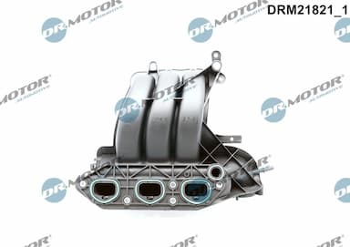 Ieplūdes caurules modulis Dr.Motor Automotive DRM21821 2